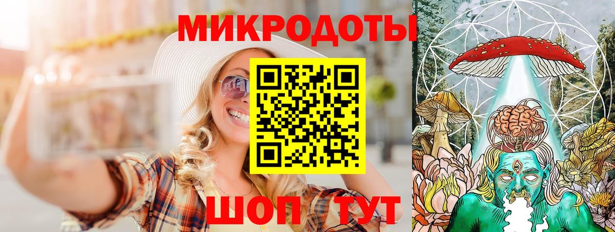 Артём  Галлюциногенные грибы Psilocybe  Вход с VPN 